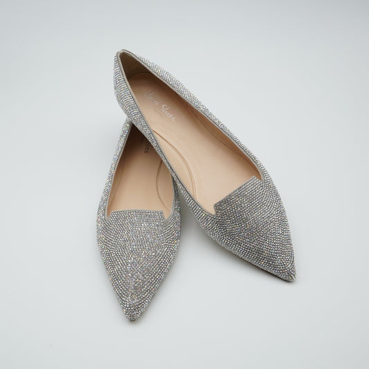 Pointy Loafer Crystal Silver